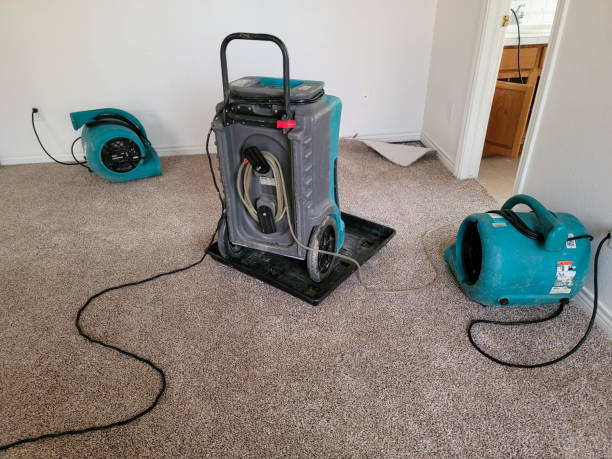 Best Carpet and Upholstery Water Damage Restoration in South El Monte, CA